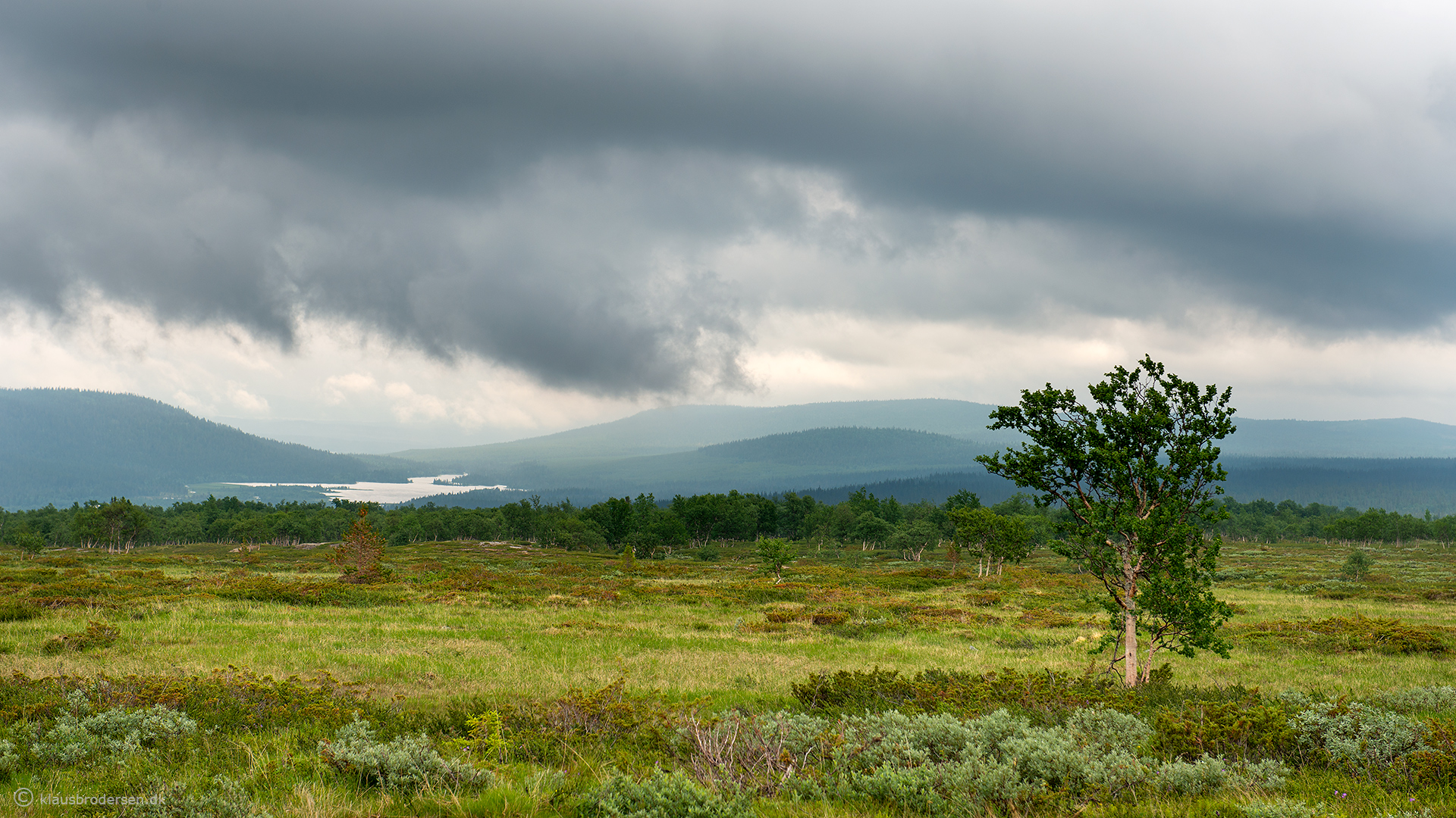 Flatruet, Härjedalen