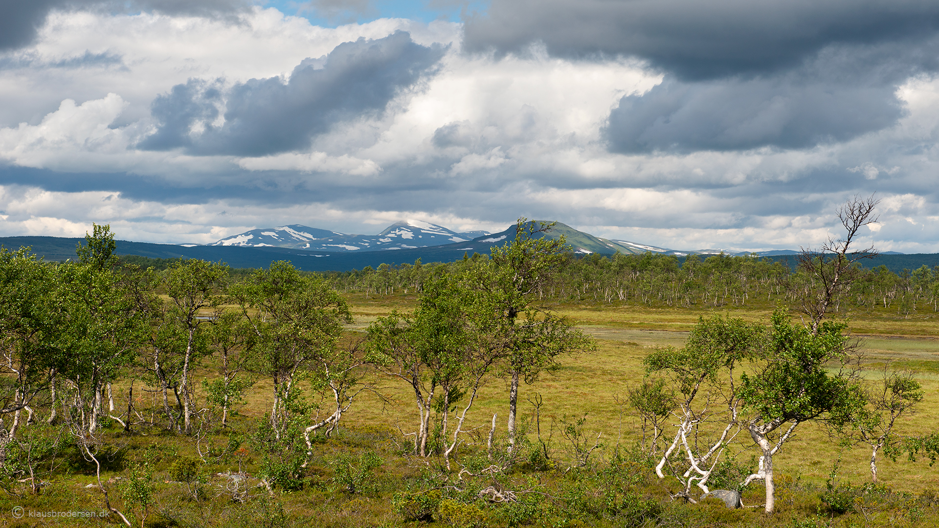 Flatruet, Härjedalen