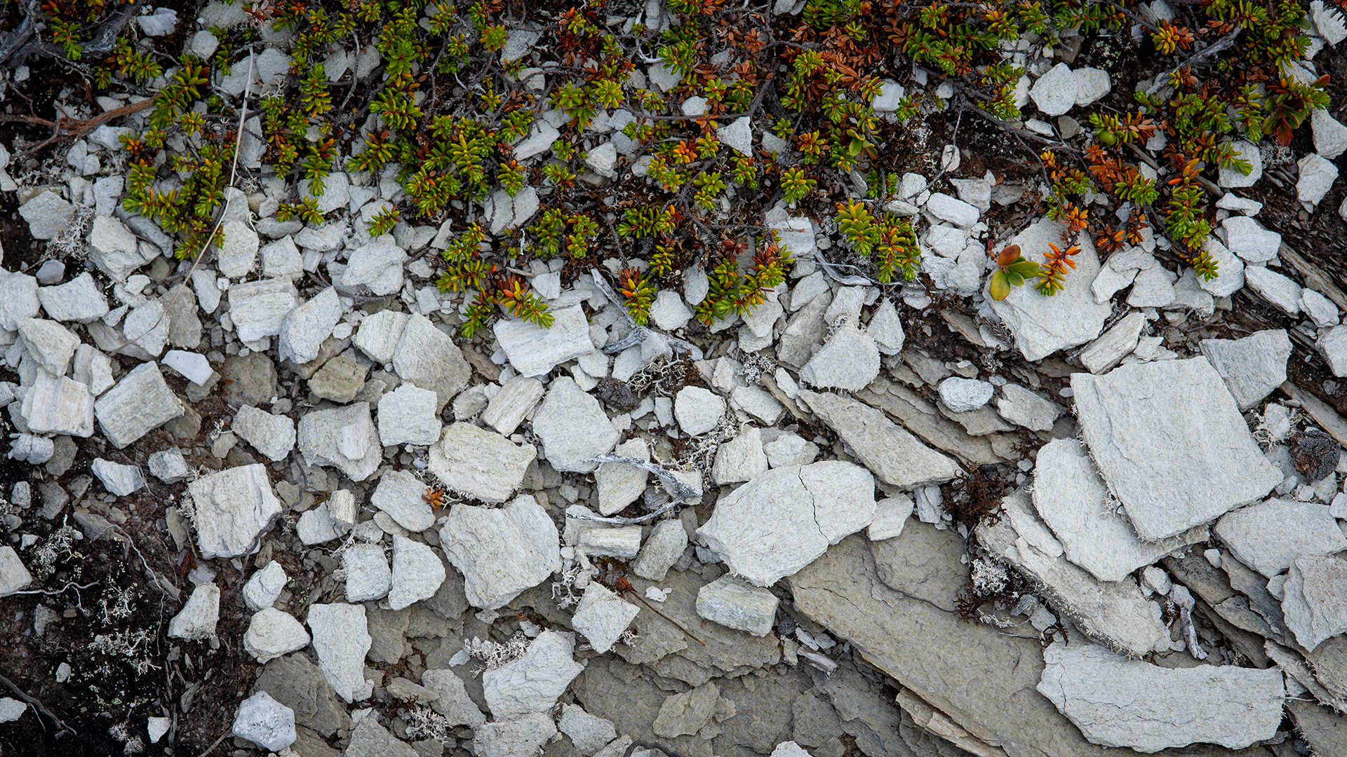 Flatruet, Härjedalen