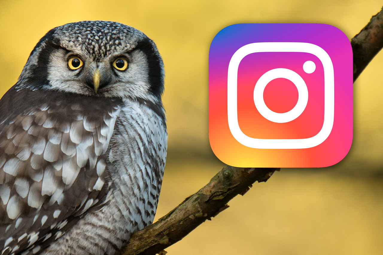Instagram Klaus_PB